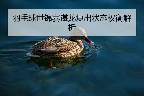 羽毛球世锦赛谌龙复出状态权衡解析