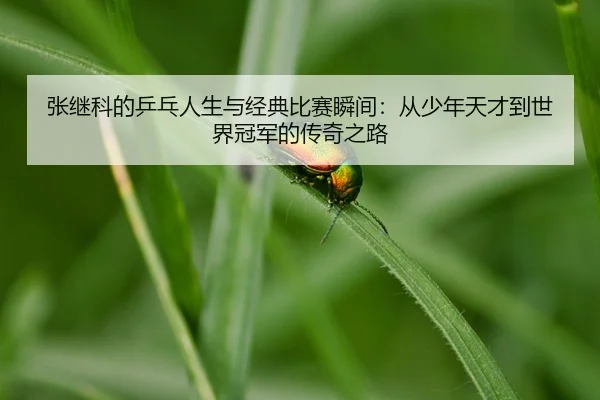 img_1788527635099_37_1_217.jpg