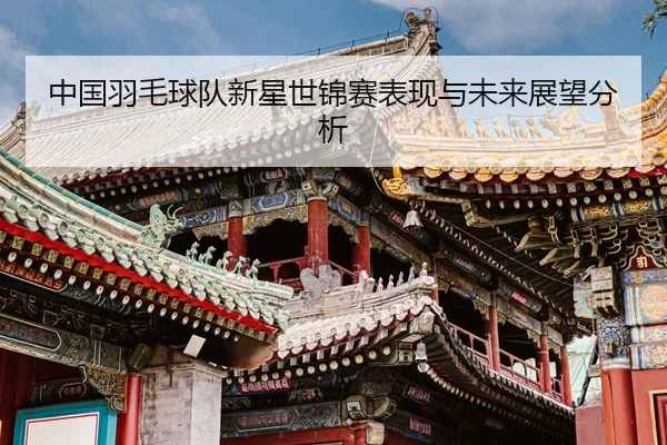 中国羽毛球队新星世锦赛表现与未来展望分析