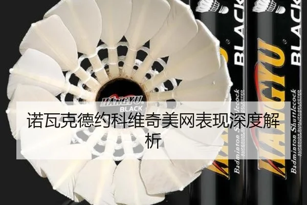nuo-wa-ke-de-yue-ke-wei-qi-mei-wang-biao-xian-shen-du-jie-xi-2-604.jpg