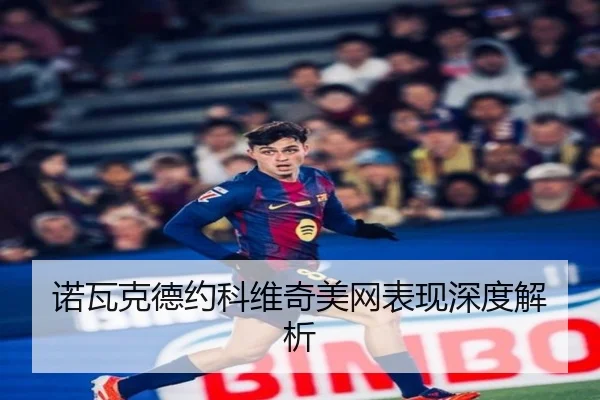 诺瓦克德约科维奇美网表现深度解析